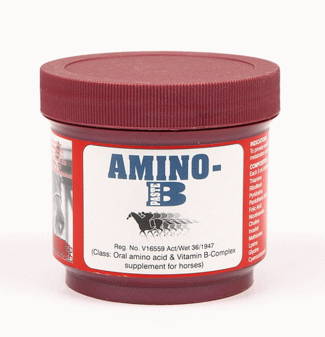 Amino-B Paste - 250ml