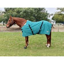 Canvas Stable Blanket
