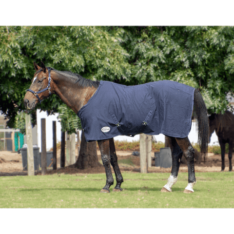 Canvas Cotton Rug with Fleece - DISC