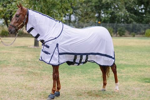 Fly Sheet Royal Misty with Neck