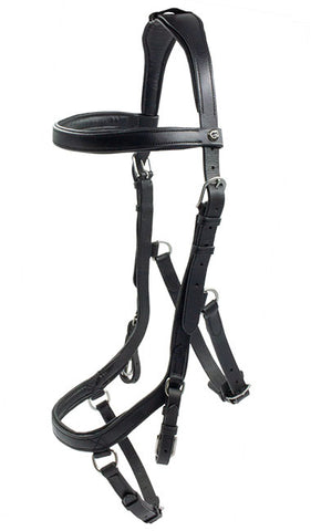 Capitol Relief Bridle