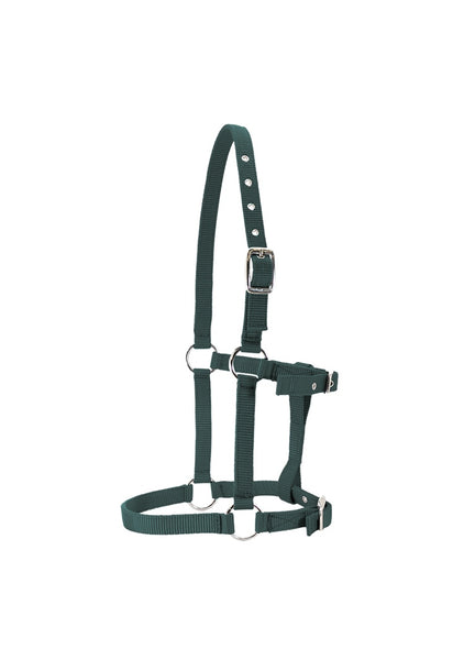 Foal Halter