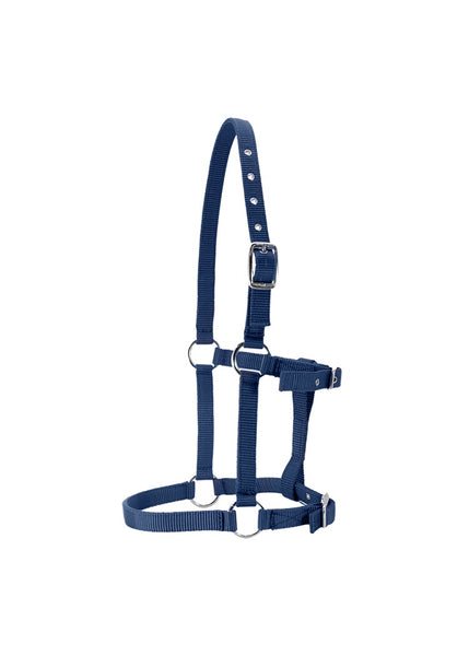 Foal Halter