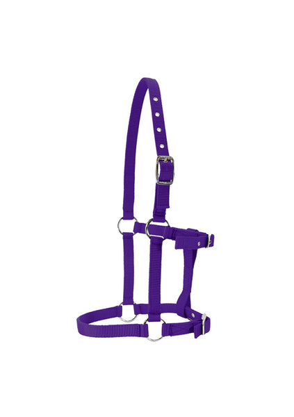 Foal Halter