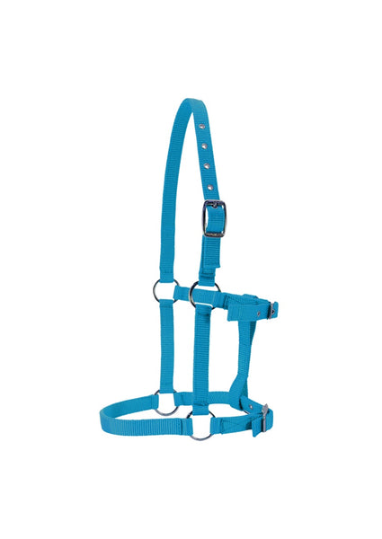 Foal Halter