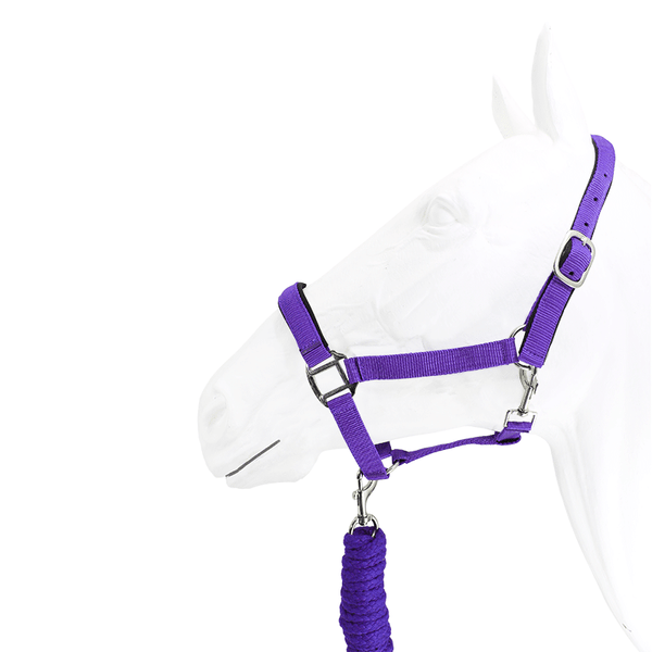 Padded Halter with Rope Lead