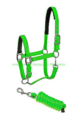 Padded Halter with Rope Lead