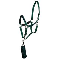 Padded Halter with Rope Lead