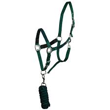 Exim Padded Halter with  Braided Lead