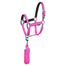 Padded Halter with Rope Lead