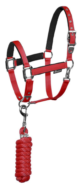 Padded Halter with Rope Lead