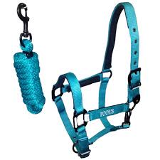 Padded Halter with Rope Lead