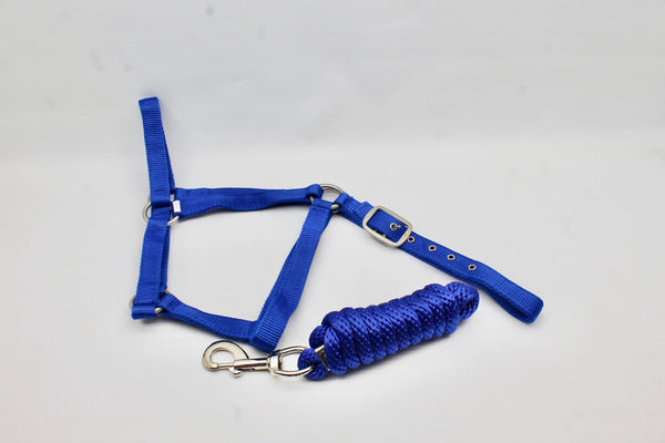 Exim Padded Halter with  Braided Lead