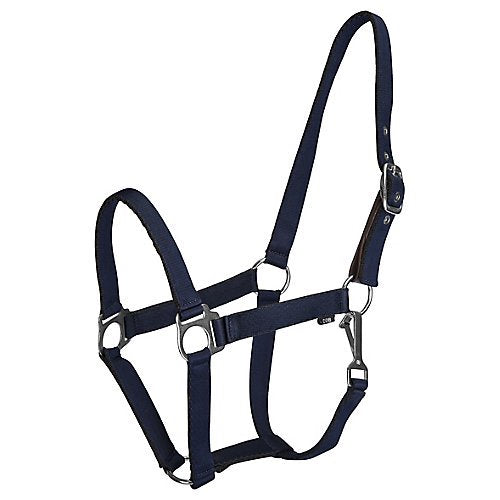 Exim Padded Halter with  Braided Lead