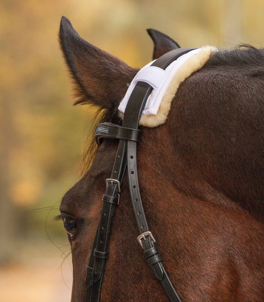 Lambskin Noseband, Or Poll, Protection, 28cm