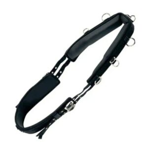 Neoprene Padded Lunge Roller