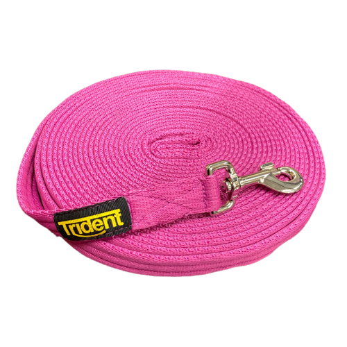 Lunge Lead