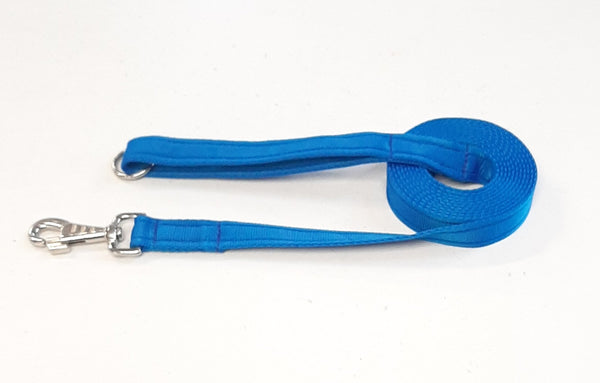 Lunge Lead