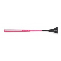 Rainbow Jumping Bat