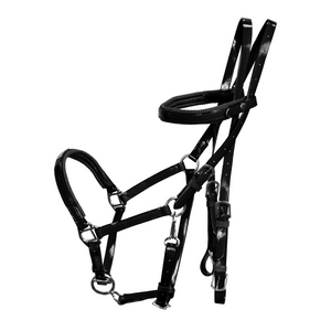 Regus Endurance Bridle Set