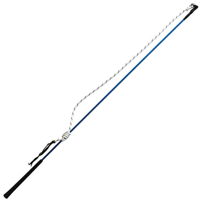 Carrot Stick