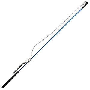 Carrot Stick