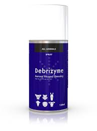 Debrizyme