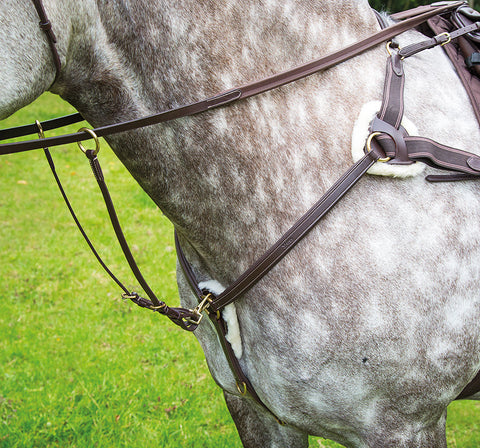 Salisbury 5 Point Breastplate
