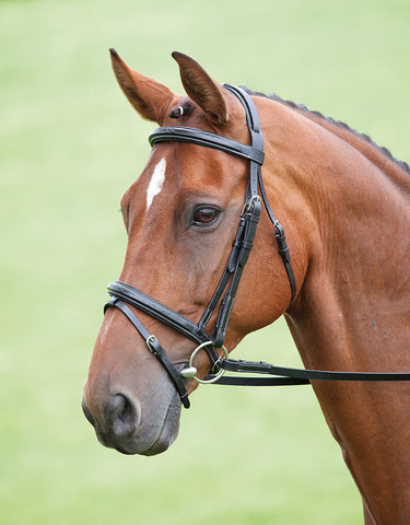 Salisbury Bodenham Bridle