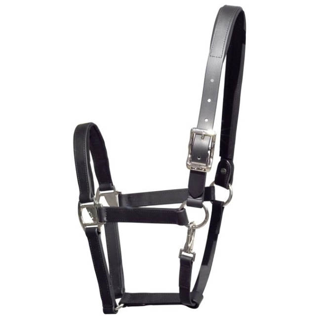 Tekna Headcollar - CUSTOMER ORDER ONLY