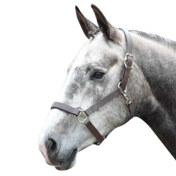 Tekna Headcollar - CUSTOMER ORDER ONLY