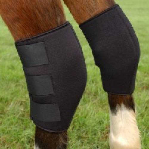 Hock Boot