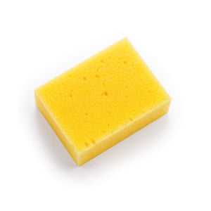 Sponge